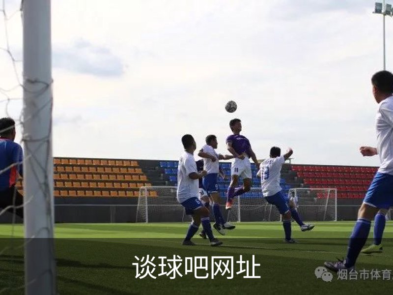 关于谈球吧网址